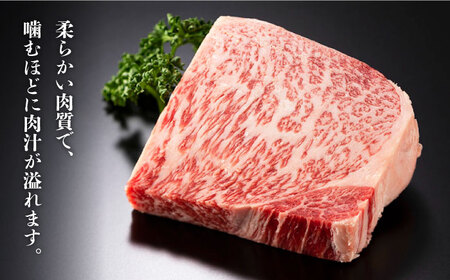 【訳あり】博多和牛 サーロイン ステーキ セット 5kg（250g×20枚） 牛肉 肉 [ABBP065]