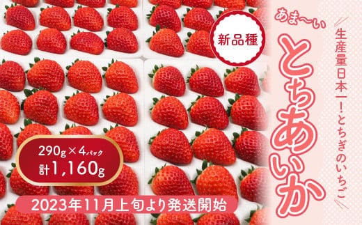 
										
										【先行予約】【数量限定】とちあいか 290g×4パック｜いちご イチゴ 苺 真空パック ※2024年11月上旬頃より順次発送予定
									