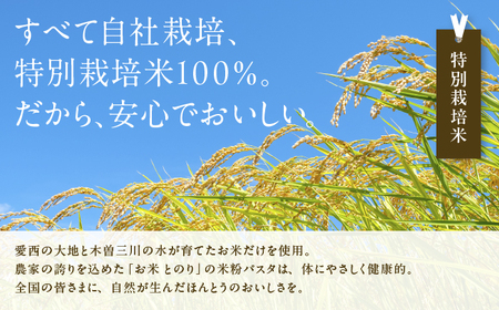 米粉 パスタ 白米 140g×5袋 グルテンフリー TONORI[AECT031-8]