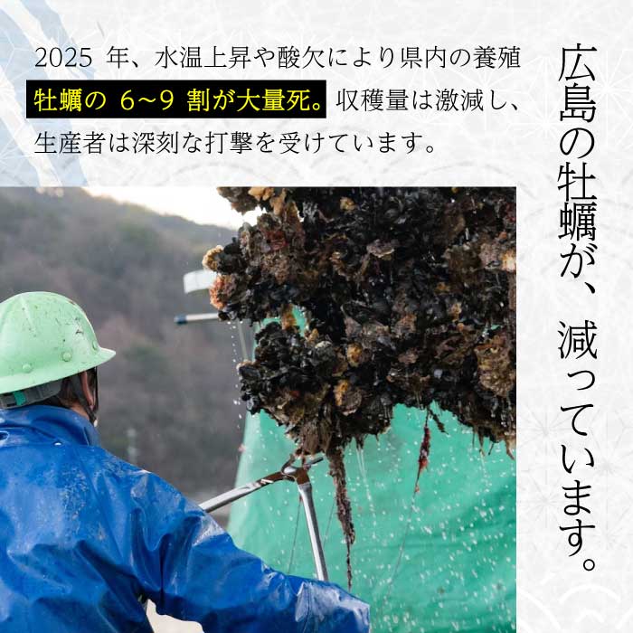 【不漁に負けるな！】広島産 冷凍 打粉付かき 4kg 1kg×4袋 牡蠣 広島かき カキ むき身 急速凍結 冷凍 バラ冷結 国産 大粒 下処理不要 牡蠣料理 海産物 貝 三原市 タカノブ食品 0220
