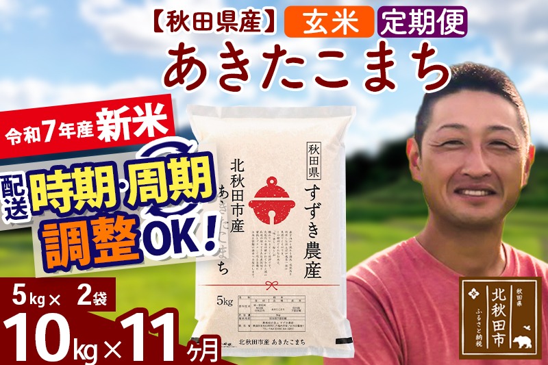 ※令和7年産 新米※《定期便11ヶ月》秋田県産 あきたこまち 10kg【玄米】(5kg小分け袋) 2025年産 お届け時期選べる お届け周期調整可能 隔月に調整OK お米 すずき農産|szap-20611