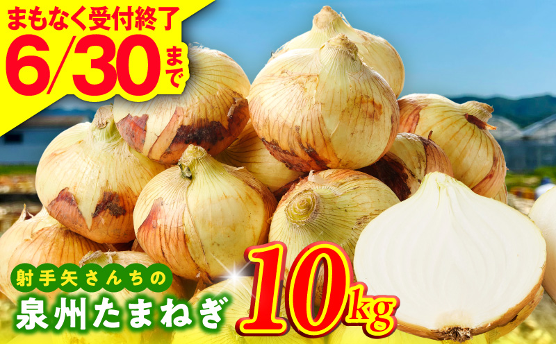 【6月30日受付終了】泉州たまねぎ 10kg 玉ねぎ 射手矢農園【タマネギ 玉葱 甘い 野菜 国産 期間限定 オニオン スライス サラダ カレー シチュー バーベキュー BBQ 肉じゃが 大阪 泉佐野 大阪府 泉佐野市】
