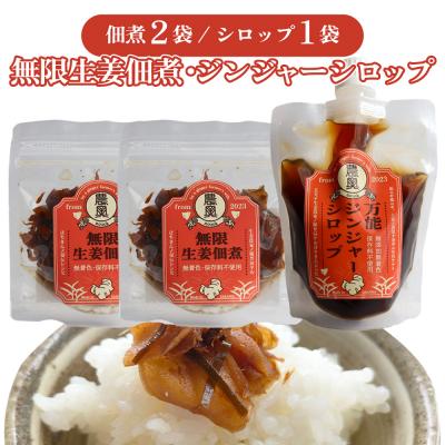 ふるさと納税 佐川町 【佃煮2袋・シロップ1個】ごはんのお供(A)