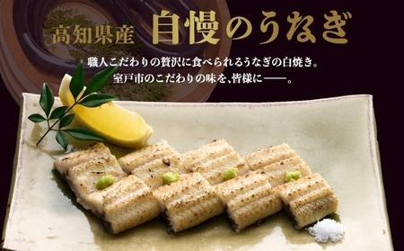 【6回定期便】手焼き 白焼きうなぎ2尾【国産 高知県産白焼きウナギ】