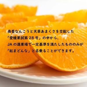 【先行受付】JA特選品 紅まどんな（青秀L～3L 約3kg）【EN0092】