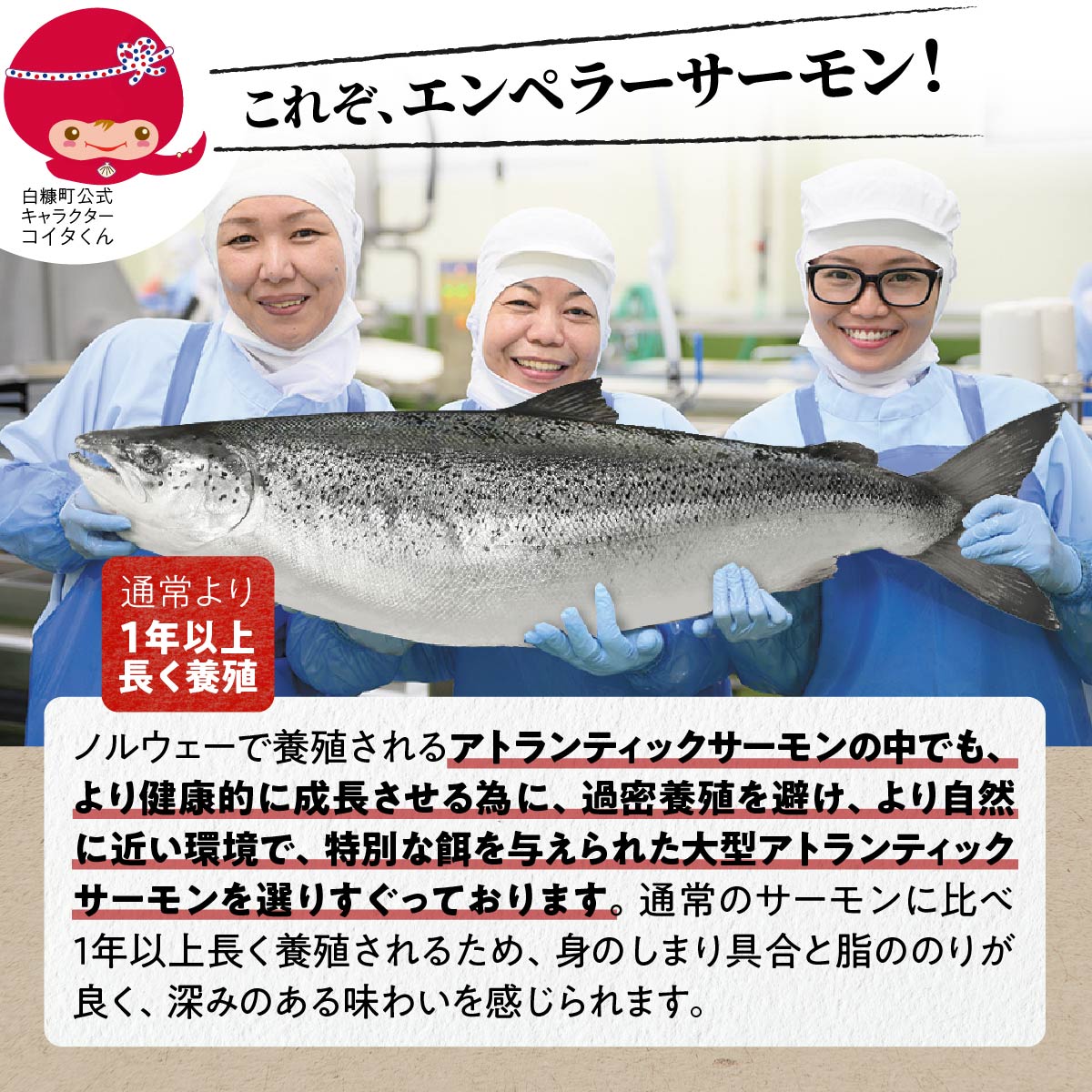 ※2025年9月末までにお届け※エンペラーサーモン≪プレーンタイプ≫【1.8kg】