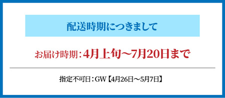 S002-019A_岩牡蠣　約3ｋg　約3人前