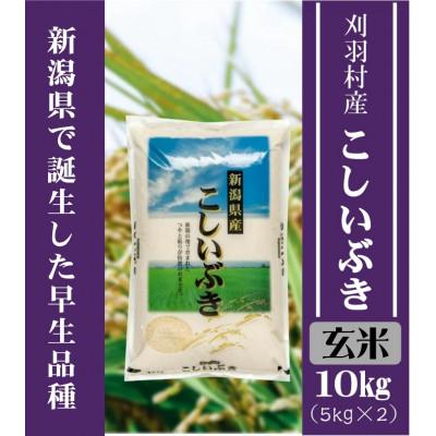 ふるさと納税 刈羽村 【新潟県早生品種】【玄米】刈羽村産こしいぶき 10kg(5kg×2袋)