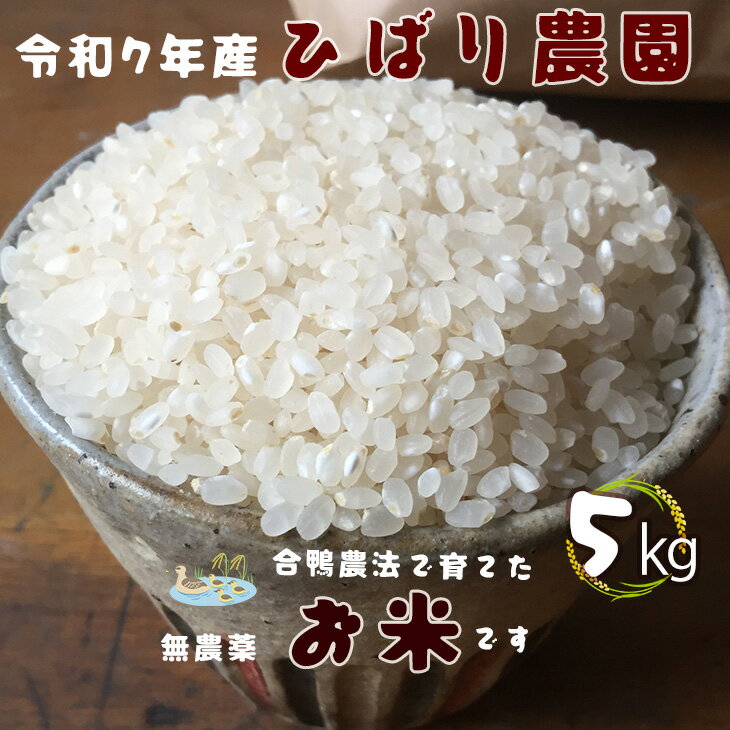 【ふるさと納税】無農薬 お米 合鴨農法で育てたひばり農園 令和7年産 白米5kg りくう132号