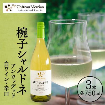 ふるさと納税 上田市 ワイン 椀子シャルドネ アンウッデッド 750ml 3本 [54041142]