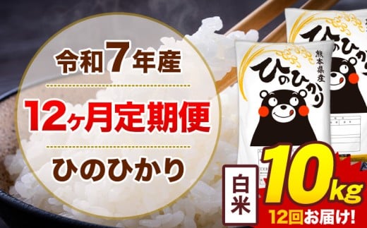 【12ヶ月定期便】令和7年産 白米 10kg 米 ひのひかり《お申込み翌月から出荷》熊本県 菊池市 国産 熊本県産 白米 精米 無洗米 送料無料 ヒノヒカリ こめ お米