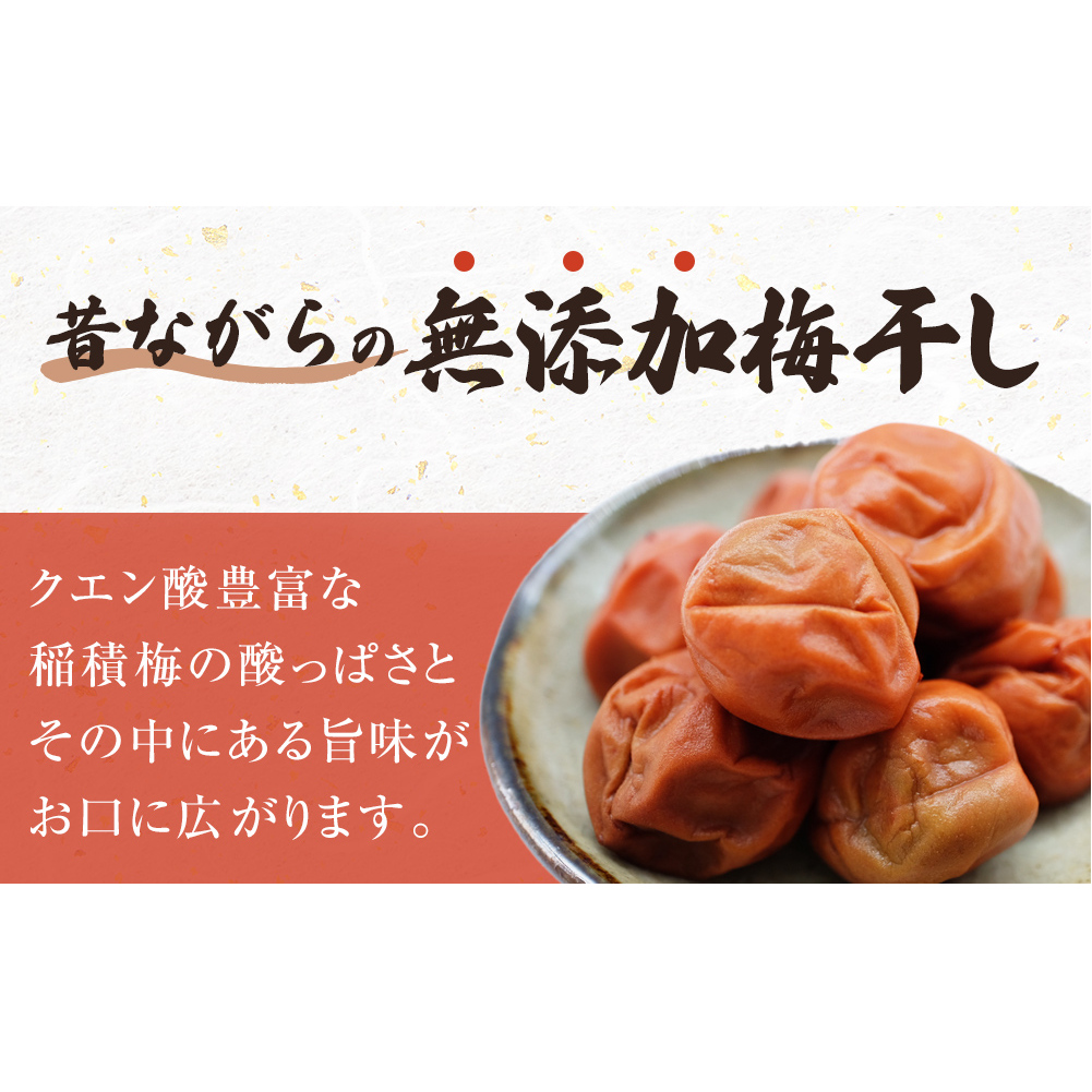 梅干し お米（10kg）付き！｜　富山県 氷見市 固定種 稲積梅 梅 梅干し 手作り 果実 昔ながら 無添加 酸っぱい 肉厚 お米 セット GI認証 GI登録 稲積梅