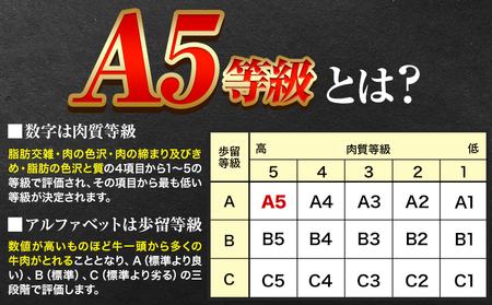 A5等級 黒毛和牛 ヒレステーキ 約400g【配送不可地域あり】《30日以内に出荷予定(土日祝除く)》 岡山県 矢掛町 牛肉 ステーキ ギフト 肉厚 A5