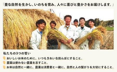 48-3G051【玄米】新潟県長岡産特別栽培米コシヒカリ5kg