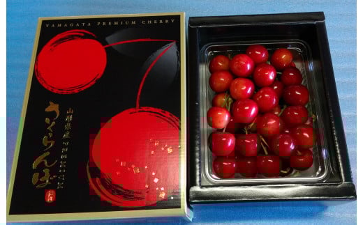 08-11-003　さくらんぼ(佐藤錦)500g