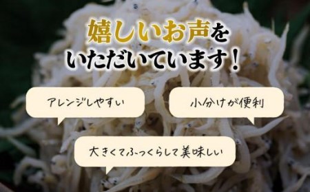 しらす 1.6kg ( 200g × 8パック ) 冷凍 小分け ( 釜揚げ しらす丼 魚 しらす さかなしらす 新鮮 しらす ご飯 しらす 炒飯 じゃこ しらす 愛媛県 松山市)【IY0021】