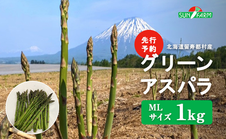 
            【先行予約】 グリーンアスパラ MLサイズ 1kg オンライン 申請 ふるさと納税 北海道 留寿都 アスパラ アスパラガス 野菜 春 旬野菜 季節野菜 産地直送 新鮮 採れたて サラダ おかず グラタン 肉巻き 1キロ 留寿都村【24001】
          