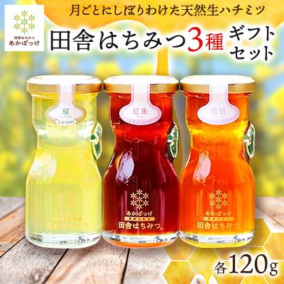 ふるさと納税 五霞町 数量限定【生ハチミツ3種】月ごとに楽しむ田舎はちみつ 無添加非加熱ギフトセット