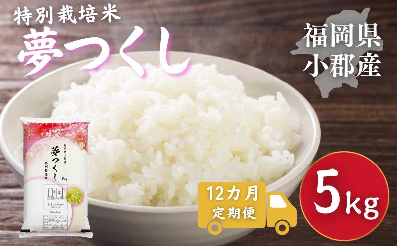 
            定期便 12回 特別栽培米 R7年度産 福岡県 小郡産 夢つくし 5kg 米 お米 12ヶ月
          