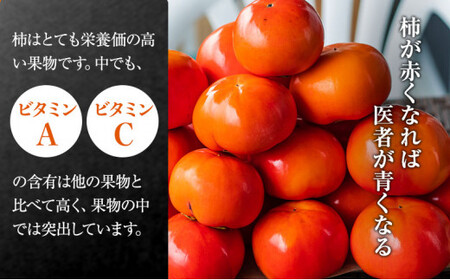 【富有柿の発祥の地　瑞穂市！！】富有柿 贈答用 L×14個入り｜果物類 ※離島への配送不可 ※2025年11月下旬頃より順次発送予定送予定
