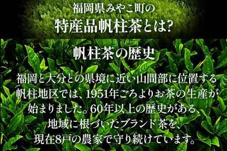 ＜銘茶みやこ町特産・帆柱茶＞極上（100g×3袋） 福岡県 お茶 日本茶 緑茶 お土産 伝統 茶葉