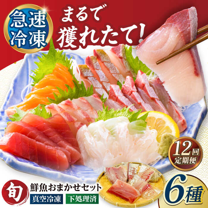 【ふるさと納税】【12回定期便】【下処理済】超速冷凍鮮魚6種（5種+焼物用1種） 五島市/金沢鮮魚[PEP067] 魚 食べ比べ 刺身 さしみ 刺し身 刺身セット 焼魚 急速冷凍 小分け 真空パック 長崎県 定期便