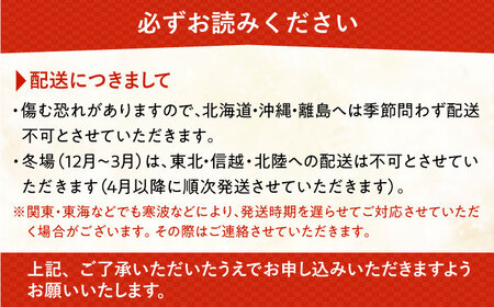 【定期便】胡蝶蘭 お楽しみ定期便【年6回】《糸島》[AND003] 胡蝶蘭 お祝い ギフト 贈答 洋蘭 開店祝い 新店 祝い 白 3本
