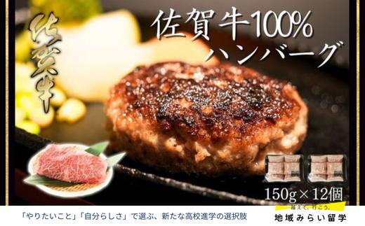 
            佐賀県産 がばいうまか！佐賀牛100％ハンバーグ（150g×12個）1.8kg
          