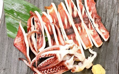 食事券 回転寿司魚喜 あぶり焼きSAKANAYA 共通お食事券 3000円分 [ANDC001] 食事券