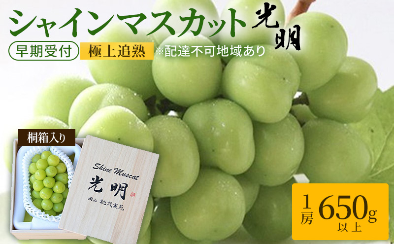 ぶどう 早期受付 極上追熟 シャイン マスカット 1房 650g以上 「光明」桐箱入り ブドウ 葡萄  岡山県産 国産 フルーツ 果物 ギフト 桃茂実苑
