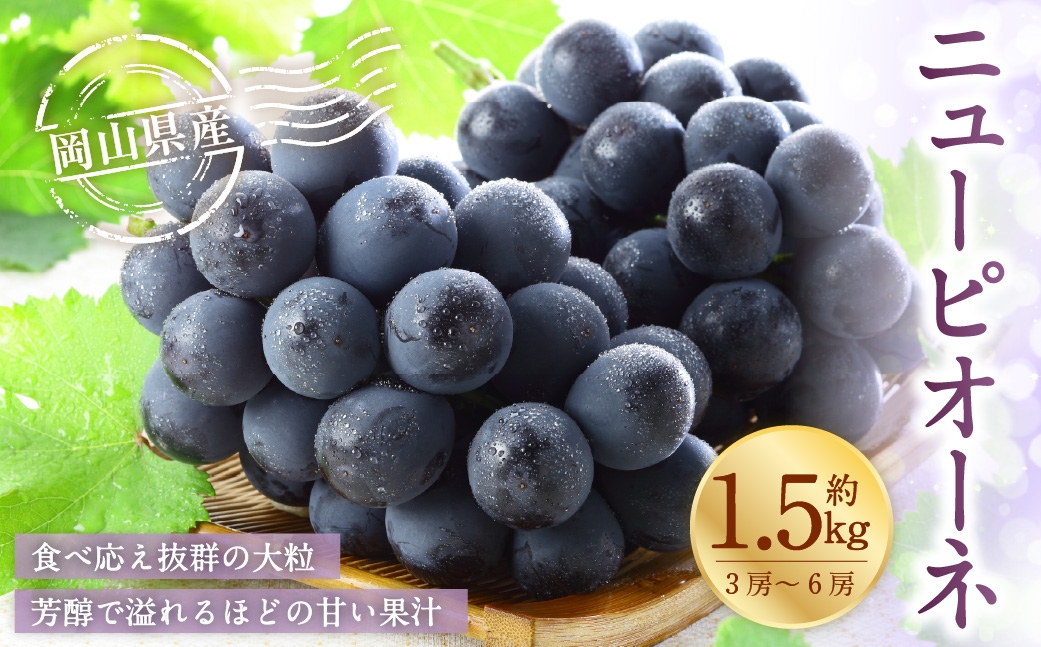 
                  岡山県産 ニューピオーネ 約1.5kg （ 3房～6房 ） ぶどう ブドウ 葡萄 くだもの 果物 果実 フルーツ 種なし 種無し 国産 【 2026年6月下旬～7月下旬発送予定 】
                
