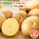 【ふるさと納税】かみふらのじゃがいも「とうや ＆ 男爵」各5kg　【 野菜 旬の野菜 北海道産 北海道野菜 国産 国産野菜 グルメ 食材 ポテト 北海道産じゃがいも 】　お届け：2024年10月上旬～下旬まで