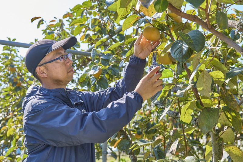 髙橋果樹園の園主　髙橋さん