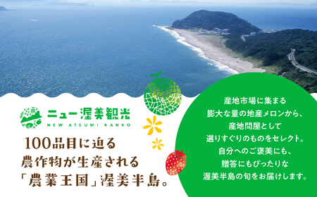 【先行予約】マスクメロン 1玉 メロン めろん マスクメロン フルーツ 果物 愛知県 田原市 渥美半島 お取り寄せ スイーツ ギフト 贈り物 プレゼント 贈答 贈答用 ニュー渥美 観光 1玉 2玉 3