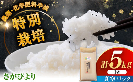 令和7年産 ななしま家 さがびより 5kg / 白米 特別栽培 / 佐賀県 / 有限会社七島農産 [41AHAC002]