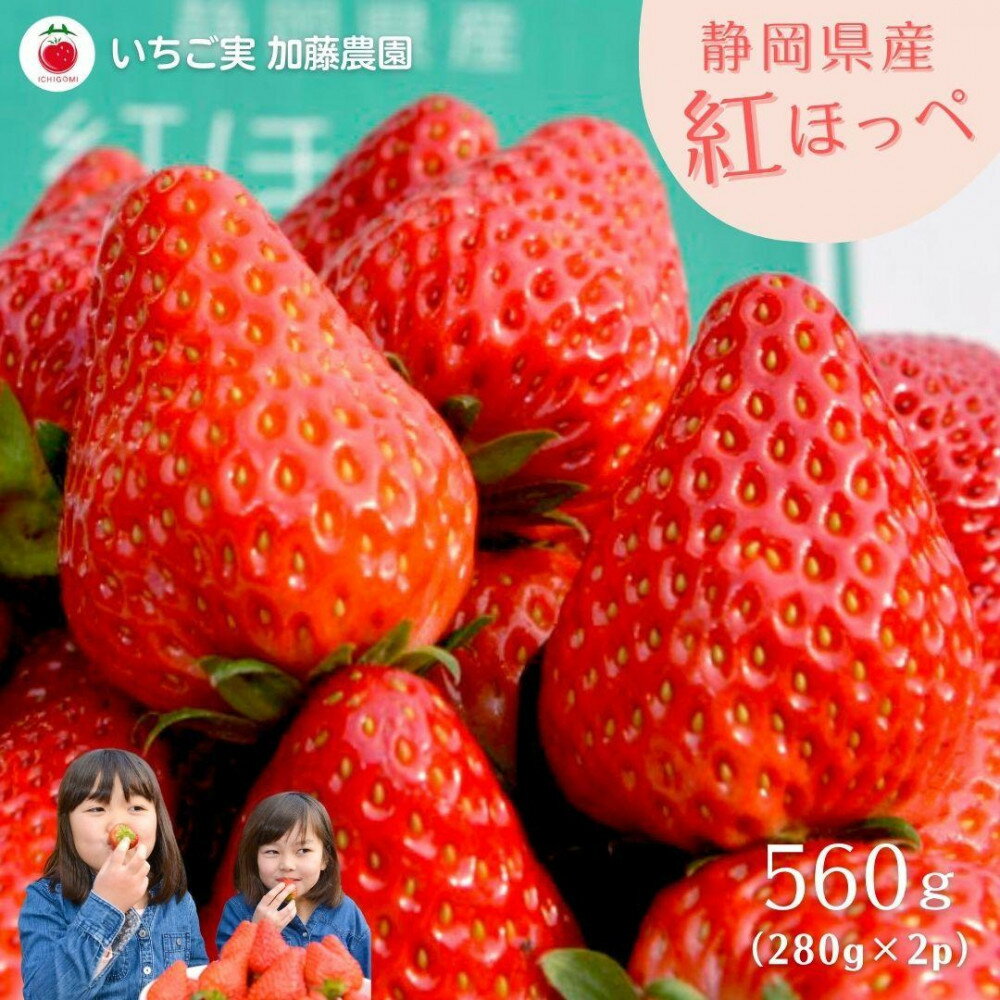 【ふるさと納税】【2026年出荷の先行予約】静岡県産いちご 紅ほっぺ 280g×2パック（1パック12～15粒） 冷蔵配送【配送不可：北海道・沖縄・離島】 苺 フルーツ◇ | いちご 紅ほっぺ 冷蔵 フルーツ 果物 くだもの 食品 人気 おすすめ 送料無料