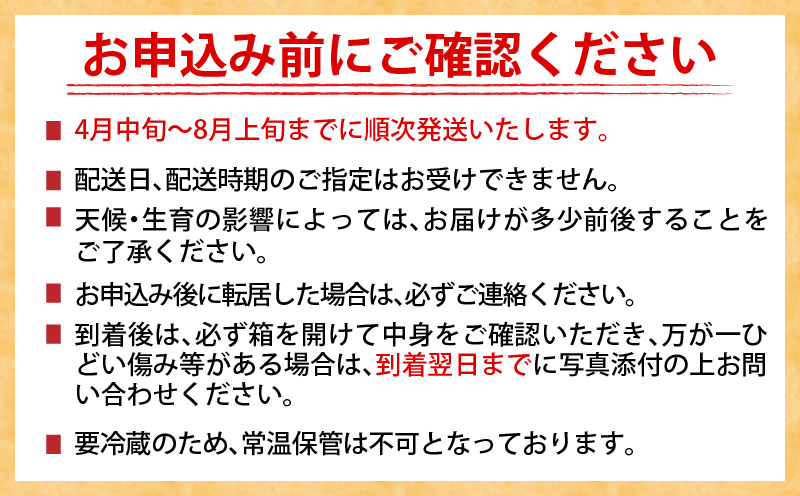 訳あり 数量限定 日南市産 完熟マンゴー 6玉～10玉 約2.8kg 期間限定 フルーツ 果物 くだもの 国産 食品 デザート おやつ フルーツサンド おすすめ 2025年 ご褒美 贅沢 産地直送 規