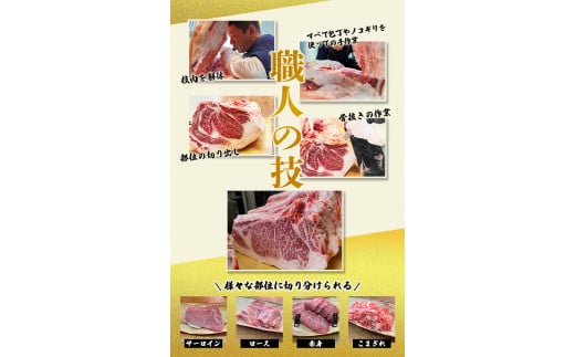 尾呂志屋精肉店の和牛 赤身 焼き肉用 3人前 500g 【1か月以内に順次発送】 /  和牛 赤身 焼き肉 焼肉 牛肉 牛 精肉 【ors006】