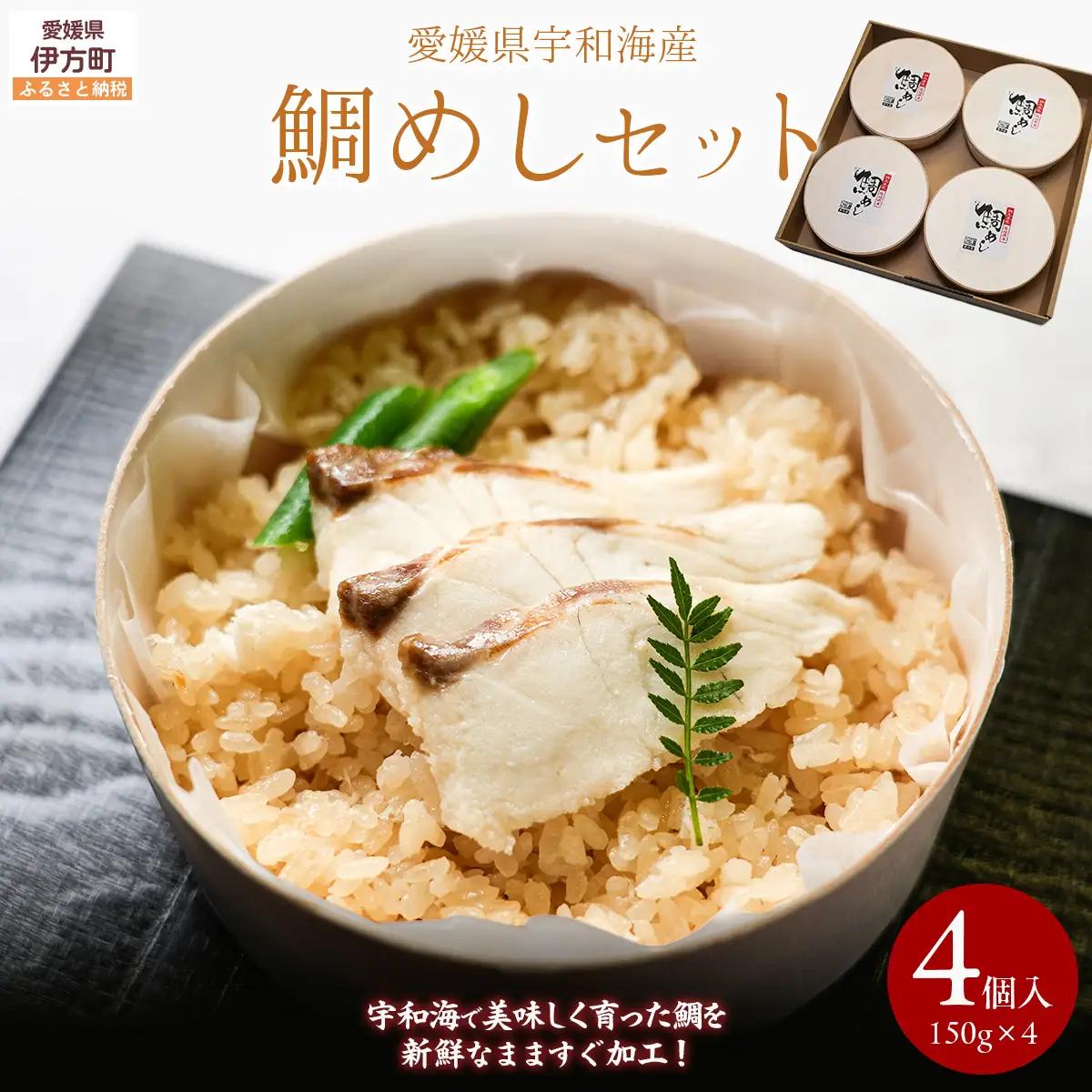 鯛めしセット（4個入り） 【 ふるさと納税 人気 おすすめ ランキング 鯛 鯛めし 海鮮 魚介 魚 冷凍 宇和海産 セット 詰合せ 愛媛県 伊方町 送料無料 】 IKTN003