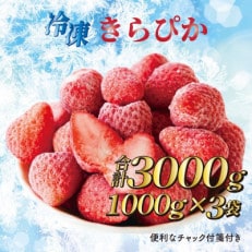 完熟冷凍いちご3kg!静岡限定品種【きらぴ香】 (060-19)