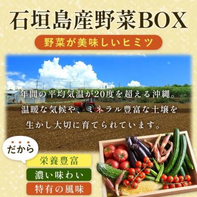 ふるさと納税 石垣市 沖縄県石垣島産新鮮やさいBOX 【 島の野菜 詰め合わせセット】1箱(定番・旬のお野菜6~8種類) |  | 02