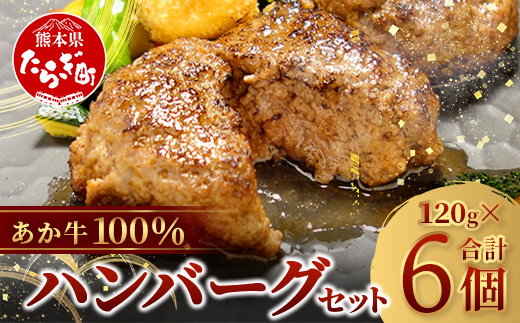 【年内お届け】あか牛 100％ハンバーグ セット 120g×6個  ※12月18日～28日発送※ ハンバーグ あか牛 牛肉 肉 熊本産 国産牛 年内発送 年内配送 クリスマス