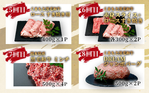 【定期便12回】くまもと 黒毛和牛 を味わい尽くす！1年12回配送 定期便 【合計 9.06kg】本場 熊本 黒毛 和牛 ブランド 牛 肉 すき焼き 焼肉 しゃぶしゃぶ ハンバーグ ステーキ ロースト