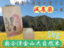 【ふるさと納税】【令和6年産】奥会津金山大自然米コシヒカリ5kg　福島県　金山町　コシヒカリ　5kg　減農薬　精米　白米