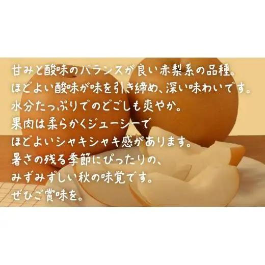 豊水 約5kg (8～14玉)【2026年9月上旬発送開始】(茨城県共通返礼品：大子町)