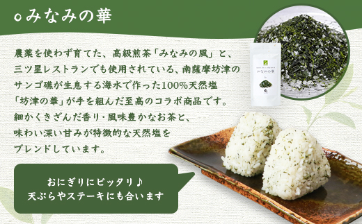 緑茶いろどりセット〜涼風〜 (水出し煎茶ティーバッグ・茶塩・粉末緑茶) 深蒸し煎茶 A3−101【1166620】