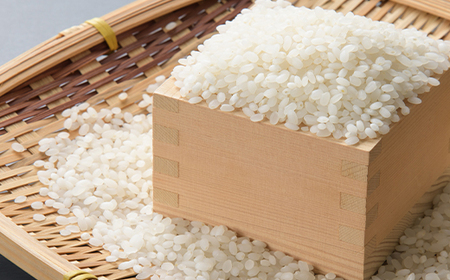 【特A・1等級】北海道産ななつぼし 白米5kg 北海道長沼町産_ 精米 米    ななつぼし 米 _【配送不可地域：離島】【1263654】