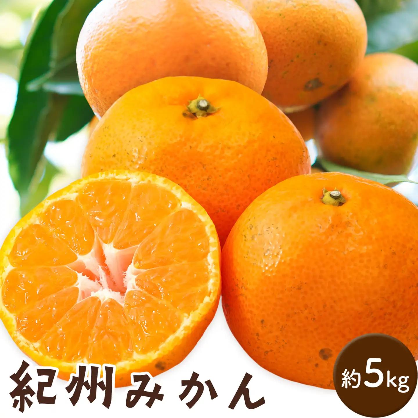紀州みかん約5kg ときわオンライン《10月中旬-2027年1月下旬頃出荷》和歌山県 紀の川市 フルーツ 果物 柑橘 みかん