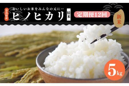 【 定期便 12回 】新米 奈良県産 ヒノヒカリ 精米 5kg （ 計60kg ） 米