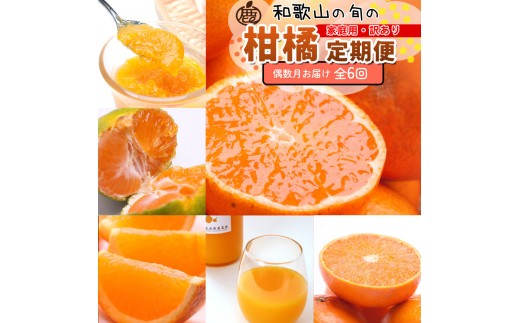 家庭用 柑橘定期便S（偶数月）全6回 ［IKE302］